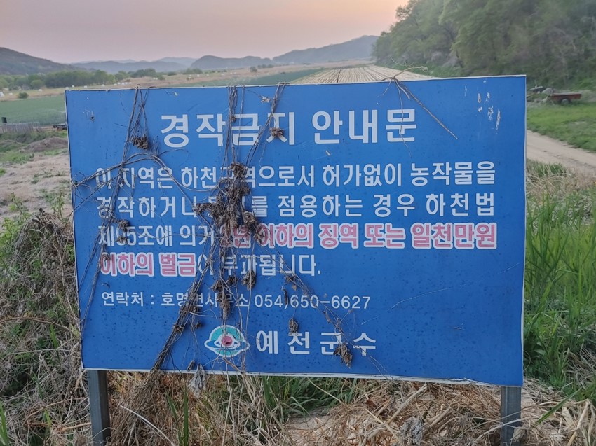 4.내성천 불법 경작에 대한 질문